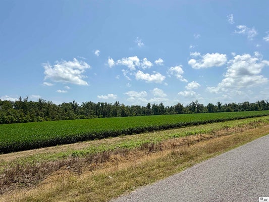 5 HWY 854, DELHI, LA 71232 - Image 63aea93bcb080e4df7b13d314c74425a/2737187916