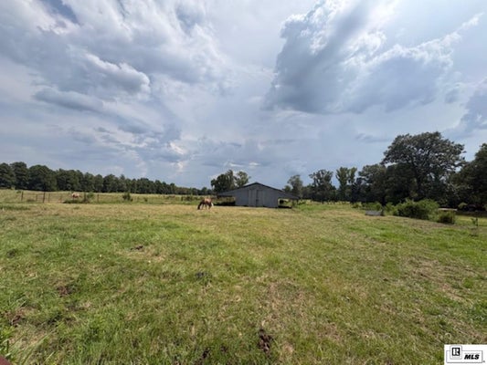 YELDELL RD, BASTROP, LA 71220 - Image 6724b15ecb3bc7f61b3f3c10d1e8cd21/2093504492