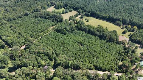 Vacant Land For Sale - 000 Oakland Bridge Road<br/> Union County, Spearsville, LA 71277