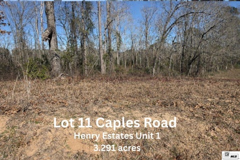 Homes For Sale - 013 Caples Road<br/> West Monroe, LA 71292