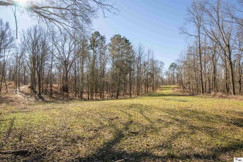 Vacant Land For Sale - Rodney Road<br/> LORMAN, MS 39069