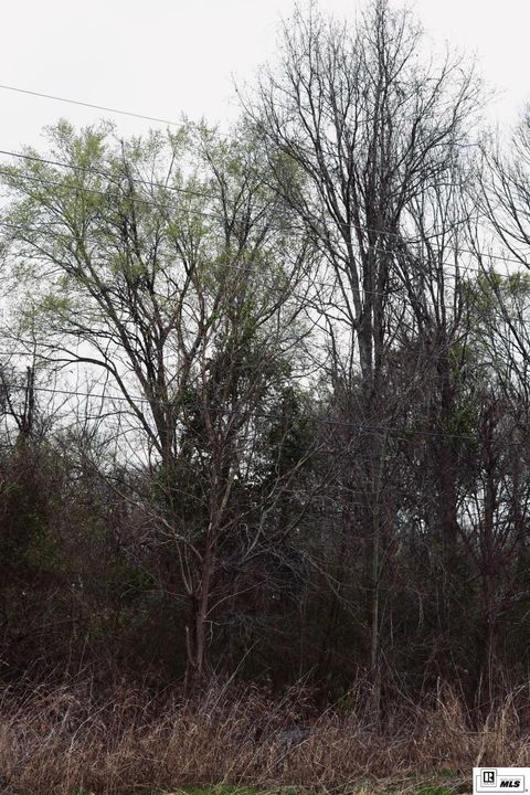 Vacant Land For Sale - Highway 562<br/> Wisner, LA 71378