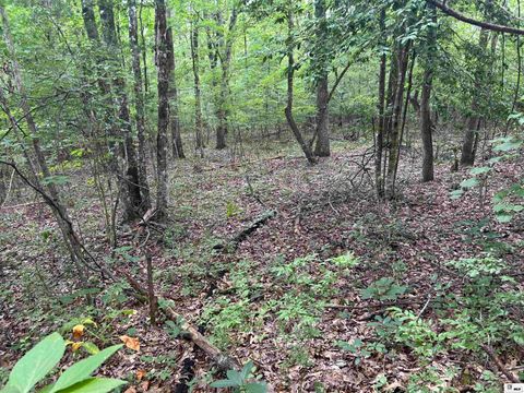 Vacant Land For Sale - 00 Connie Walters Road<br/> Calhoun, LA 71225