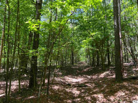 Vacant Land For Sale - 00 Jinks Road<br/> Bernice, LA 71222