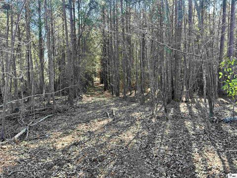 Vacant Land For Sale - 000 Ferry Road<br/> Union County, Farmerville, LA 71241