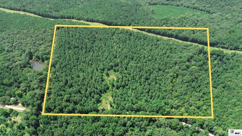 Vacant Land For Sale - Sanford Lane<br/> Dubach, LA 71251