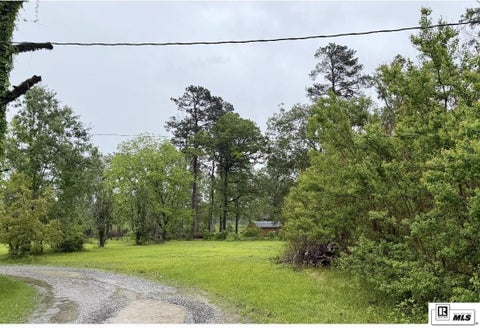Vacant Land For Sale - Wheeler Road<br/> Ouachita County, Swartz, LA 71203