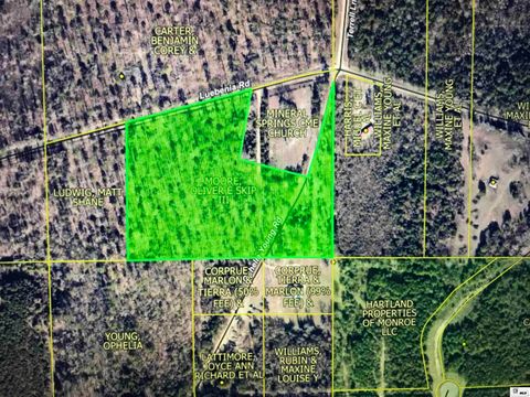 Vacant Land For Sale - Luebenia Road<br/> Calhoun, LA 71225