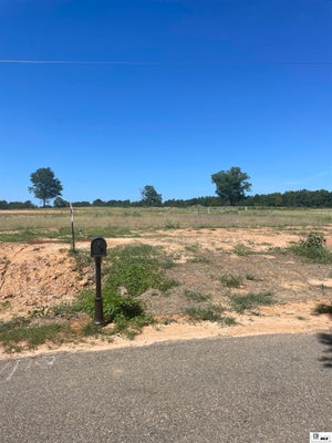 MOORES DAIRY RD, RUSTON, LA 71270 - Image 90a1de50e9fb3c82b199cfcf49ed01d2/1674229476