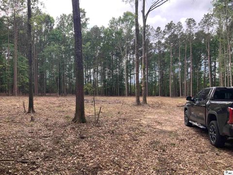 Vacant Land For Sale - 271 Dewberry Road<br/> Jackson County, Jonesboro, LA 71251