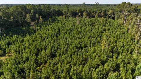 Vacant Land For Sale - 000 Alton Auger Road<br/> Union County, Marion, LA 71260