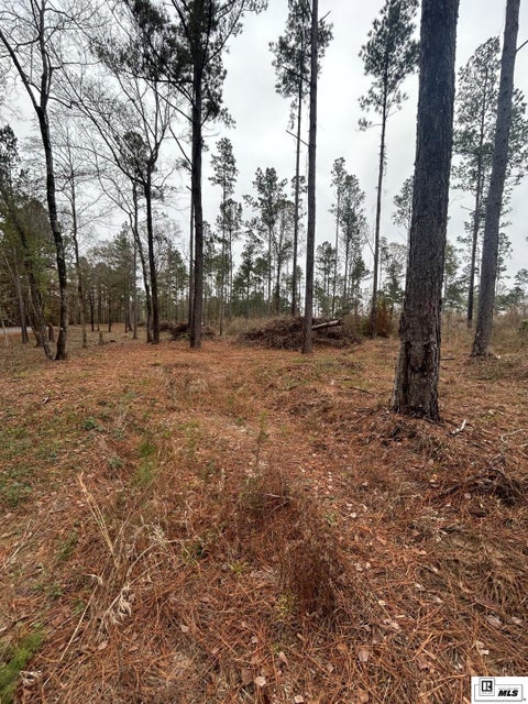 Vacant Land For Sale - 07 Cadeville Cutoff Road<br/> West Monroe, LA 71292