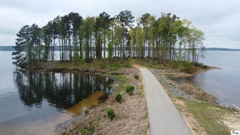 Vacant Land For Sale - 000 Island Drive<br/> Chatham, LA 71226