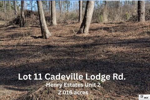 Vacant Land For Sale - 011 Cadeville Lodge Road<br/> West Monroe, LA 71292