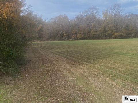 Vacant Land For Sale - 00 Highway 132<br/> Franklin County, Delhi, LA 71232