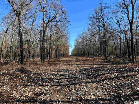 Vacant Land For Sale - 00 Cecil Creek Road<br/> Marion, LA 71260