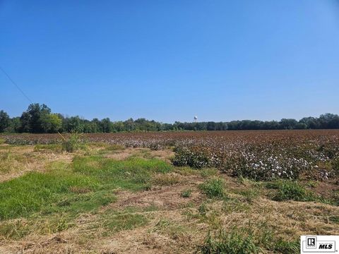 Vacant Land For Sale - Magnolia<br/> Rayville, LA 71269