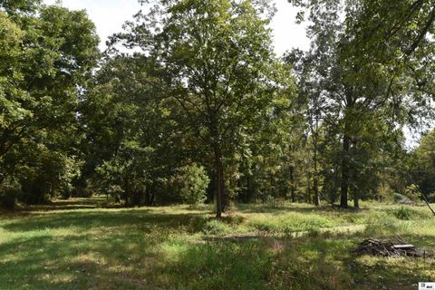 Vacant Land For Sale - Tony Road<br/> Sterlington, LA 71280