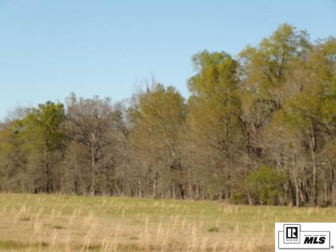 Vacant Land For Sale - Cruse Lane<br/> Winnsboro, LA 71295