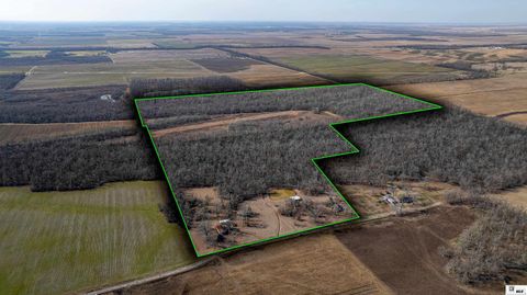 Vacant Land For Sale - 377 Mcpherson Road<br/> West Carroll County, Epps, LA 71238