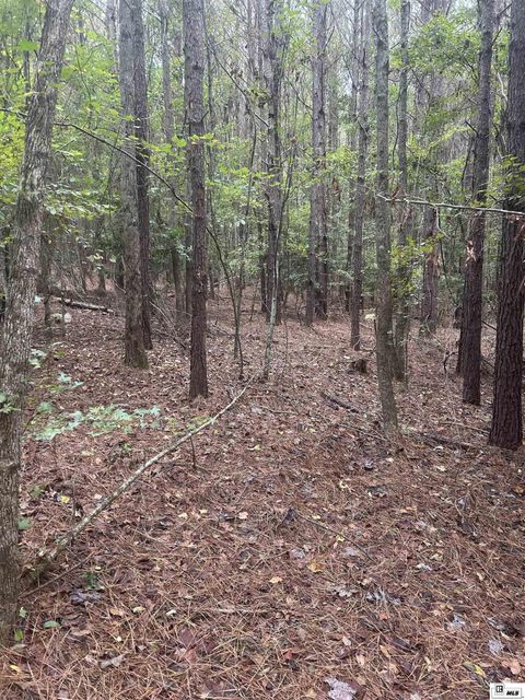 Vacant Land For Sale - 000 Salem Church Road<br/> Union County, Farmerville, LA 71241