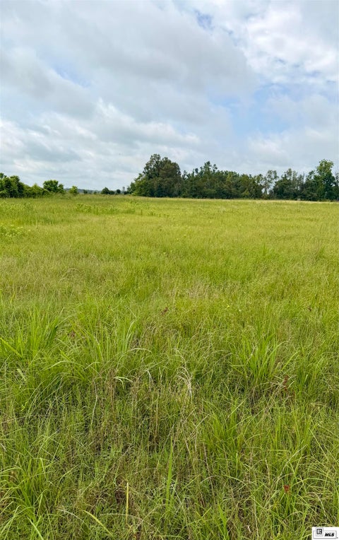 Vacant Land For Sale - Kent Road<br/> Richland County, Oak Ridge, LA 71264