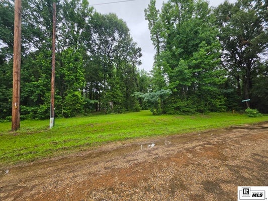 FORMBY RDG, STERLINGTON, LA 71280 - Image b1a2b3f32709cd1f3bf1538e3e8b9ef5/764239967