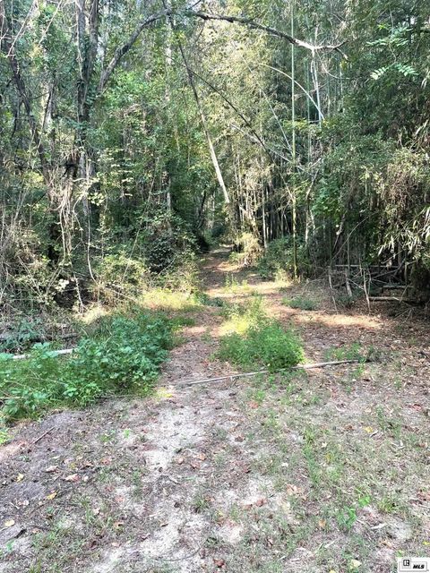 Vacant Land For Sale - 000 Evening Road<br/> Chatham, LA 71226