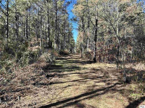 Vacant Land For Sale - 000 Ferry Road<br/> Union County, Farmerville, LA 71241