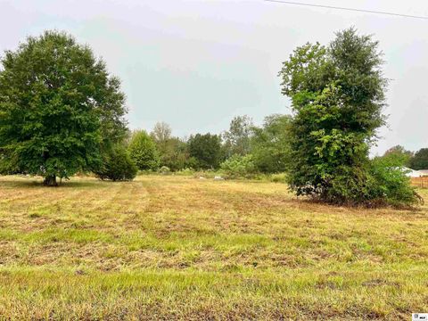 Vacant Land For Sale - 00 Hurt Road<br/> Pioneer, LA 71266