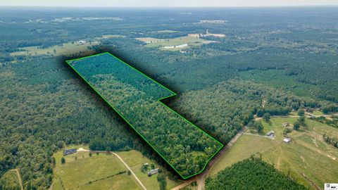 Vacant Land For Sale - 525 Patterson Road<br/> Choudrant, LA 71227
