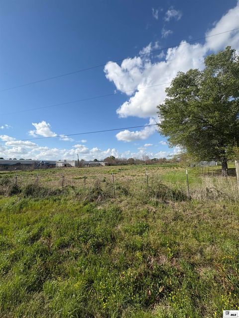 Vacant Land For Sale - 00 Ellis Lane<br/> Winnsboro, LA 71295