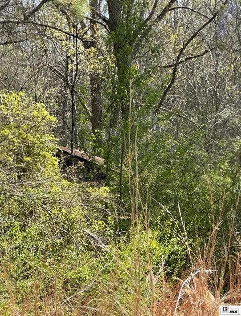 Vacant Land For Sale - 000 Highway 167<br/> Jackson County, Jonesboro, LA 71251