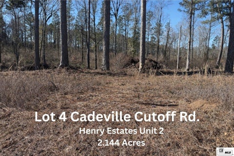 Vacant Land For Sale - 04 Cadeville Cutoff Road<br/> West Monroe, LA 71292