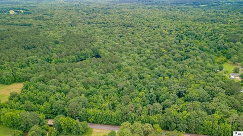 Vacant Land For Sale - 2502 Highway 151<br/> Downsville, LA 71234