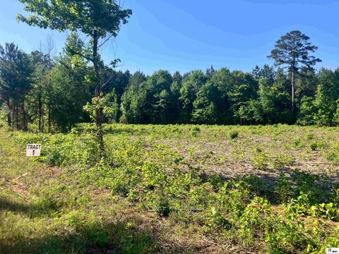 Vacant Land For Sale - 9014 LOT 2 Highway 80<br/> Simsboro, LA 71275