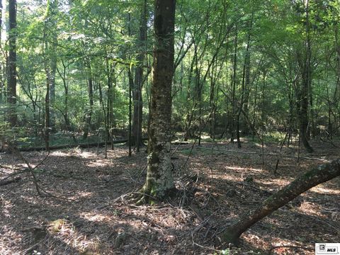 Vacant Land For Sale - 000 Highway 552<br/> Union County, Downsville, LA 71234