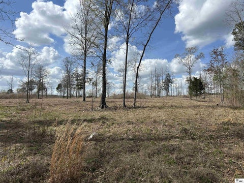 Vacant Land For Sale - 000 Cove View Road<br/> Farmerville, LA 71241