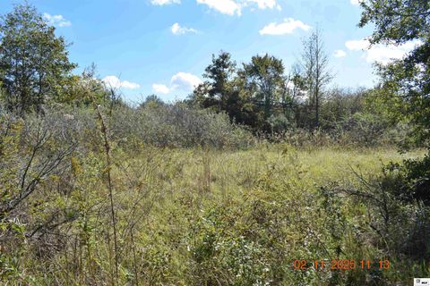 Vacant Land For Sale - Plum Grove Road<br/> Pioneer, LA 71266