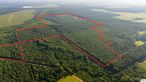 Vacant Land For Sale - Carpenter Road<br/> Bastrop, LA 71220