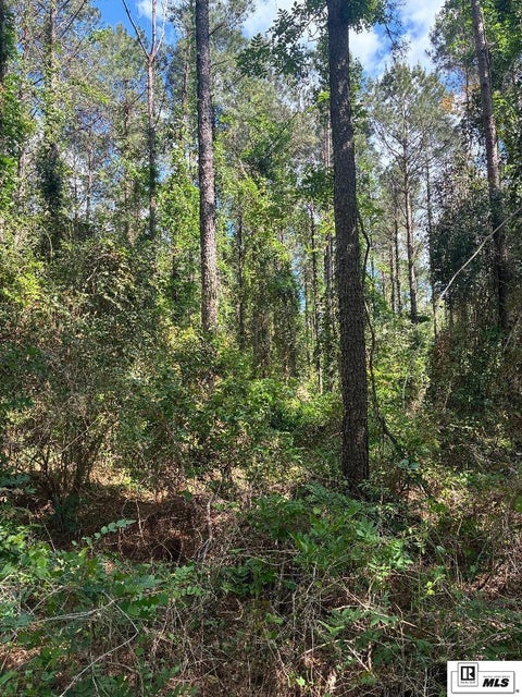 Vacant Land For Sale - 000 Arnold Road<br/> Choudrant, LA 71270