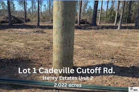 Homes For Sale - 01 Cadeville Cutoff Road<br/> West Monroe, LA 71292