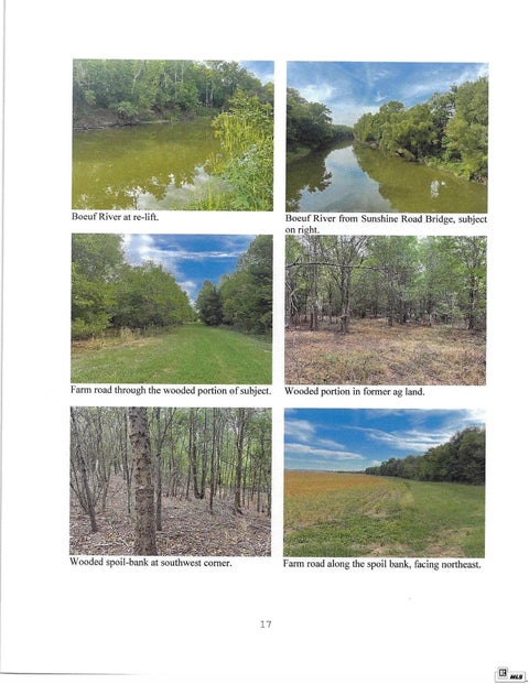 Vacant Land For Sale - CORNER BRIDGE Sunshine Road<br/> Jones, LA 71263