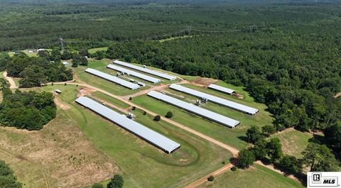 Vacant Land For Sale - 999 Double Bridge Road<br/> Union County, Dubach, LA 71235