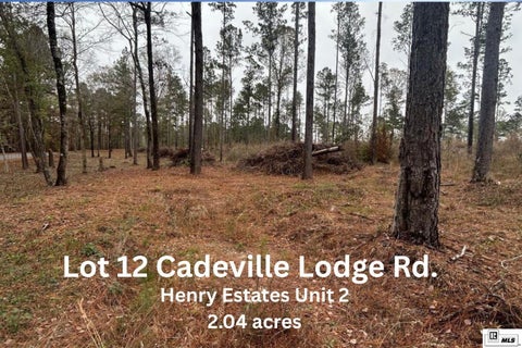 Vacant Land For Sale - 012 Cadeville Lodge Road<br/> West Monroe, LA 71292