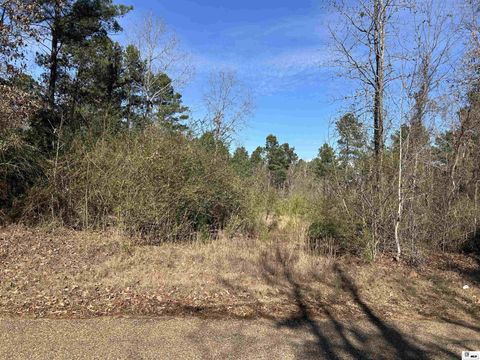 Vacant Land For Sale - 000 Dozier Road<br/> Union County, Farmerville, LA 71241