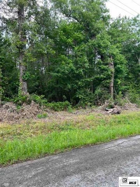 Vacant Land For Sale - LOT 4 Berry Road<br/> Caldwell County, Grayson, LA 71435