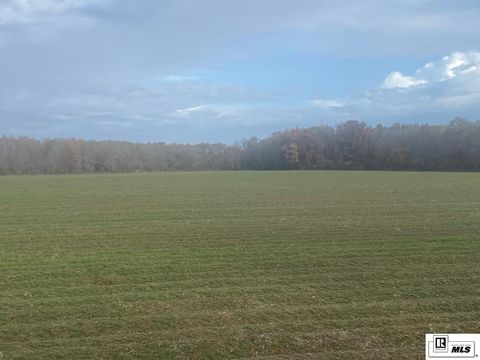 Vacant Land For Sale - 00 Highway 132<br/> Franklin County, Delhi, LA 71232