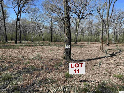 Vacant Land For Sale - 00 School Board Road<br/> Marion, LA 71260