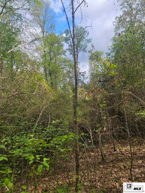 Vacant Land For Sale - Richard Linder Road<br/> Calhoun, LA 71225